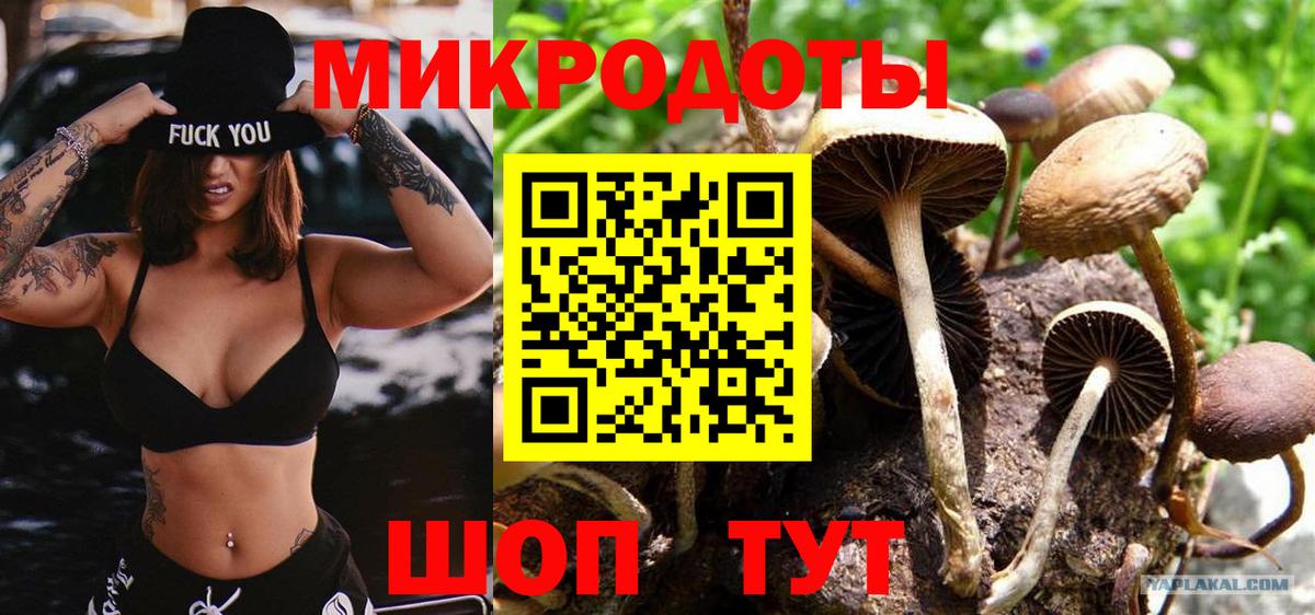 Псилоцибиновые грибы мицелий Тулун