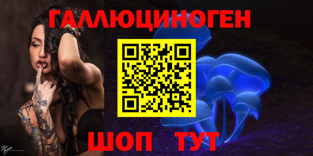 Галлюциногенные грибы MAGIC MUSHROOMS  Псилоцибиновые грибы Psilocybine cubensis  Тулун  Вход с VPN 
